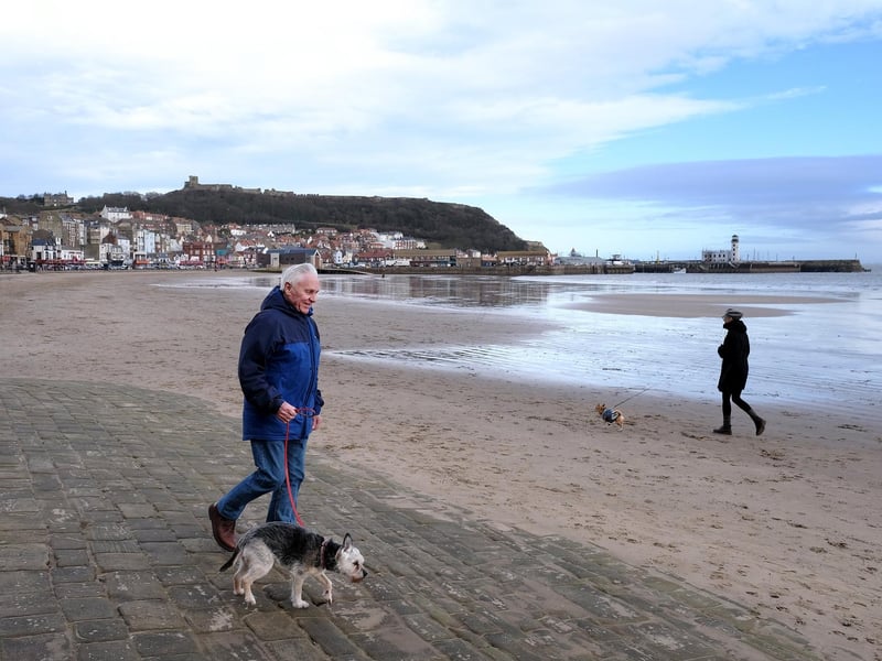 Dog walking on Scarborough's South Bay.  picture: Richard Ponter
