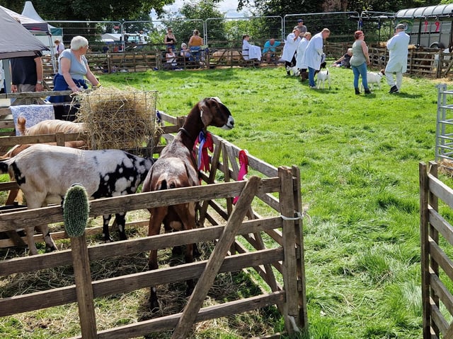 Everyone was interested to see who won