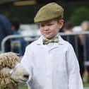 Benjamin Brook (aged 5) with his sheep ready for judging on the second day of the Great Yorkshire Show 2023