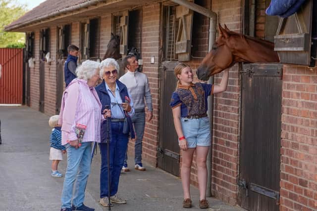 Look behind the scenes at top racing stables at Malton Open Day.