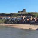 Doubts about the viability of a motion calling for an end to “major private housing developments” in Whitby have been raised by the council.