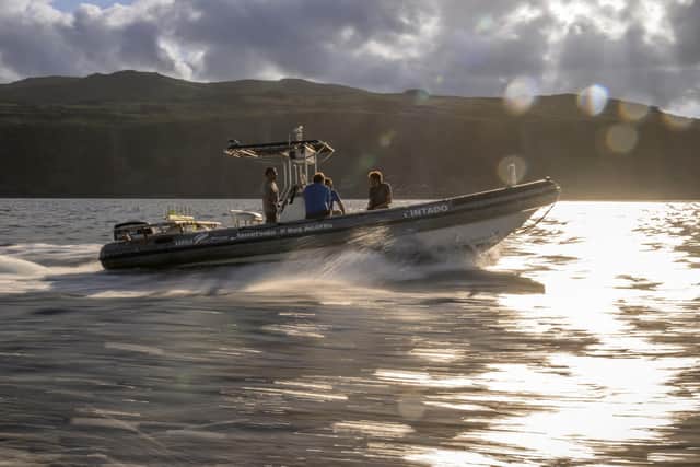 SeaLife curators Todd German from SeaLife Scarborough and Scott Blacker from SeaLife Blackpool release Nazare into the sea off the coast of Horta in the Azores.