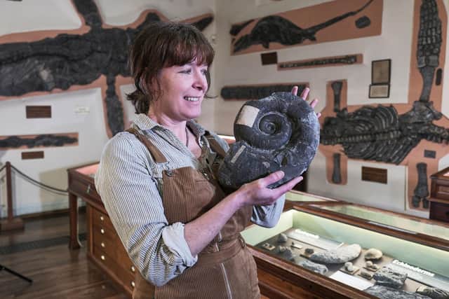 Sarah Porteus from Whitby Museum with some of the museum’s extensive fossil collection. photo: Tony Bartholomew
