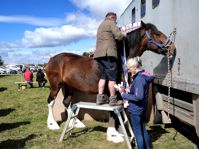 Preparing for the show arena.