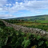 Grants of up to £5,000 are on offer in the North York Moors National Park for the creation and management of hedgerows and the repair of dry stone walls