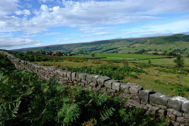 Grants of up to £5,000 are on offer in the North York Moors National Park for the creation and management of hedgerows and the repair of dry stone walls