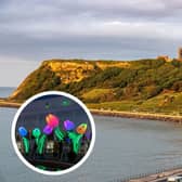 A new festival will be launched in Scarborough next month as part of a three-year vision to boost arts and culture and to help to improve job opportunities on the coast in North Yorkshire. (Lights: Koros Design)