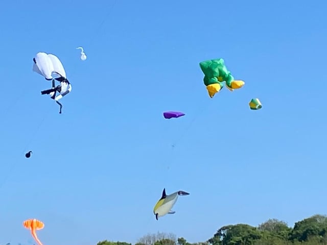 Kites in the sky