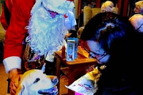 Olive celebrating her retirement with Santa Claus