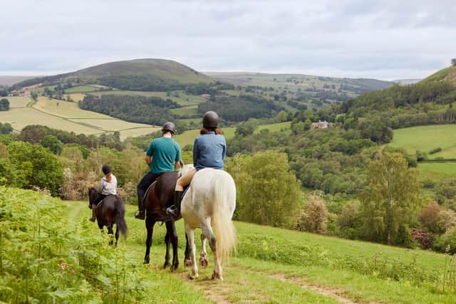 Horse riding on St Aelred's trail, near Bilsdale.