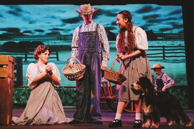 The Wizard of Oz gets rave reviews. picture: Matthew Cooper