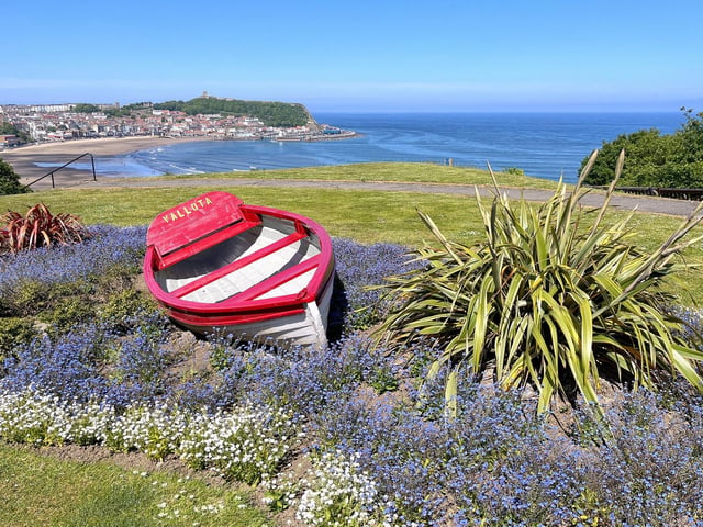The spring flower bed display on the Esplanade, by Tony Freeman.