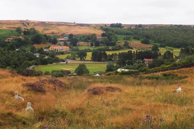 The village of Castleton.