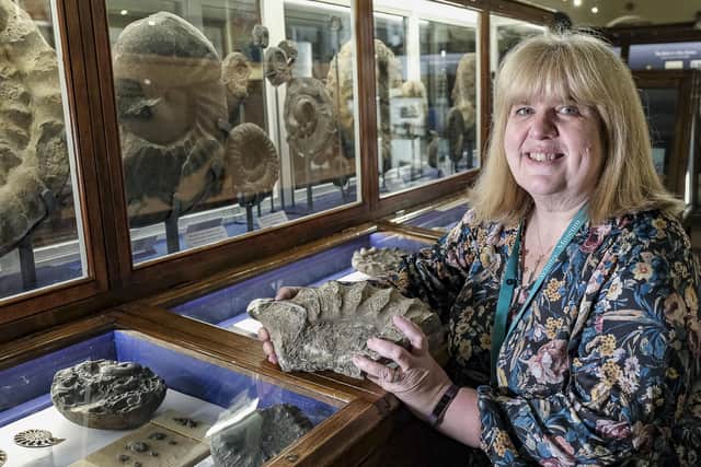 Hazel Wright, manager of Whitby Museum, with a display of fossils in Whitby Museum.
© Tony Bartholomew, Turnstone Media.