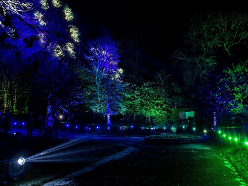 The pathway had lovely lights dotted around the edge to make sure no one strayed into the darkness of the woodland.