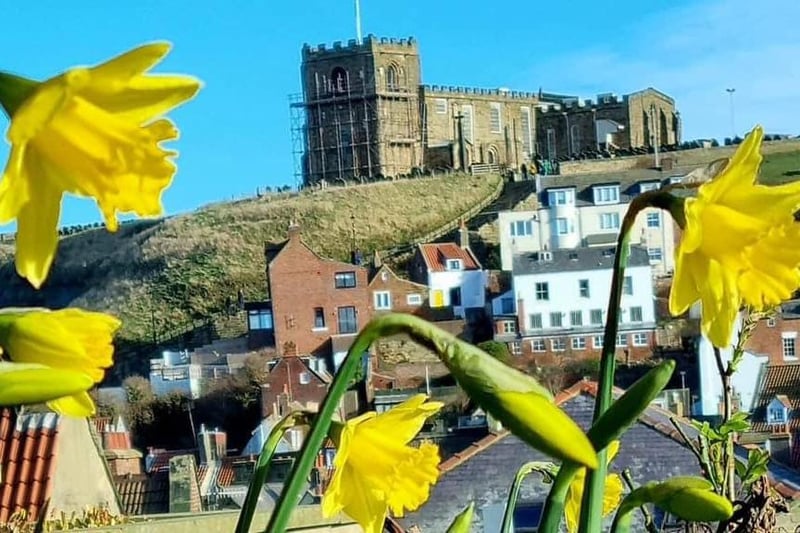 Stunning view of Whitby framed by new Daffodils.