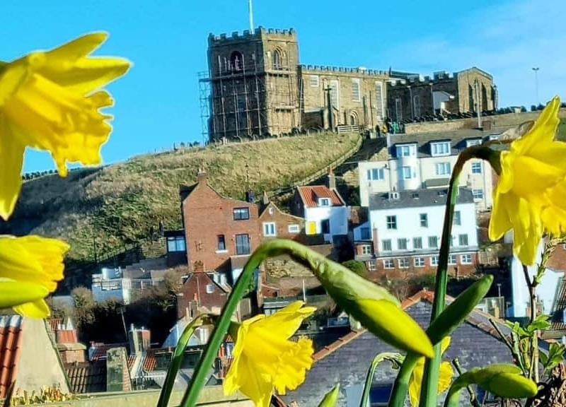 Stunning view of Whitby framed by new Daffodils.