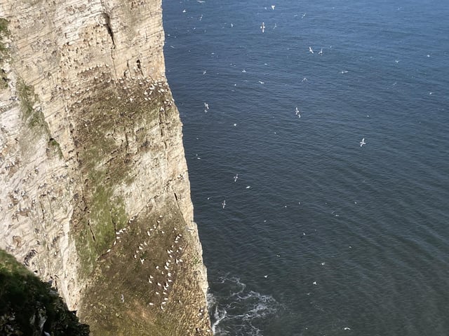 The reserve has approximately half a million seabird visitors between March and October.
