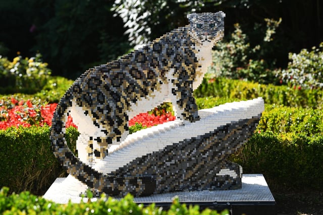 This stunning snow leopard can be seen surveying the gardens from its brick built snowy rock.