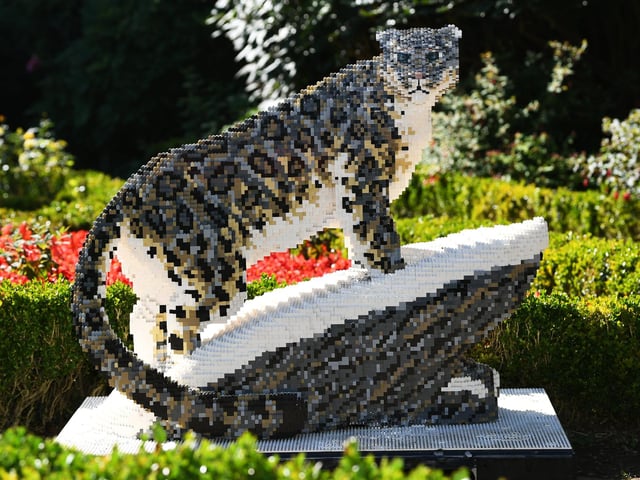 This stunning snow leopard can be seen surveying the gardens from its brick built snowy rock.