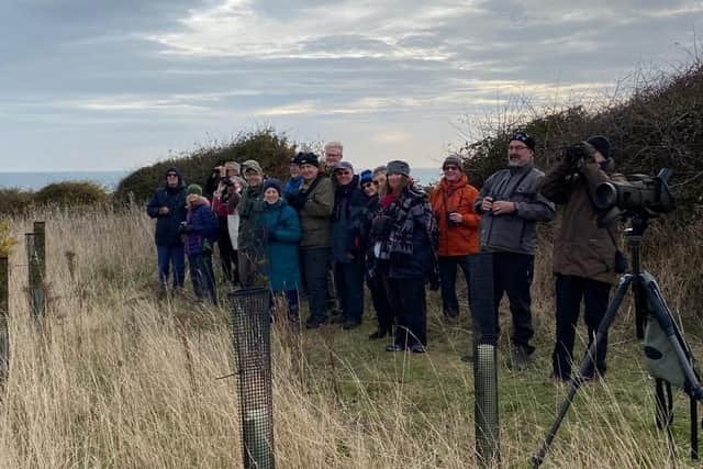 Visible migration watch at Hunmanby gap. Photo: Flamborough Bird Observatory.