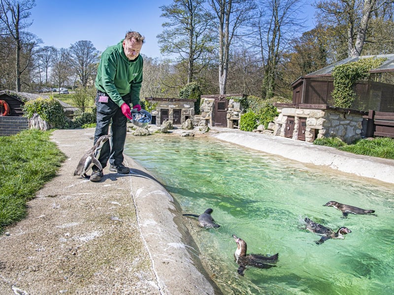 At Sewerby Hall, children can dress up in Edwardian clothing, interact with costumed guides and play with Edwardian toys. Outside there are over 50 acres of gardens to explore, and a zoo.