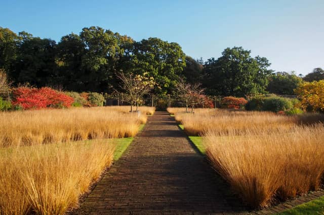 Autumn colours at Scampston Hall and Walled Garden.