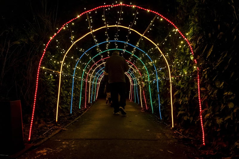 The twinkling archway directs visitors through the Wonderland.