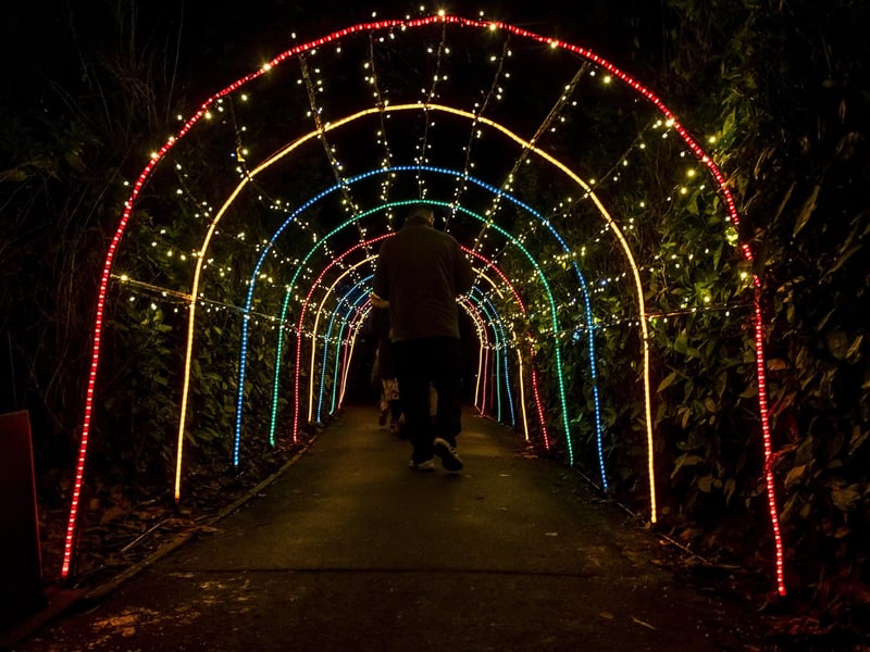 The twinkling archway directs visitors through the Wonderland.