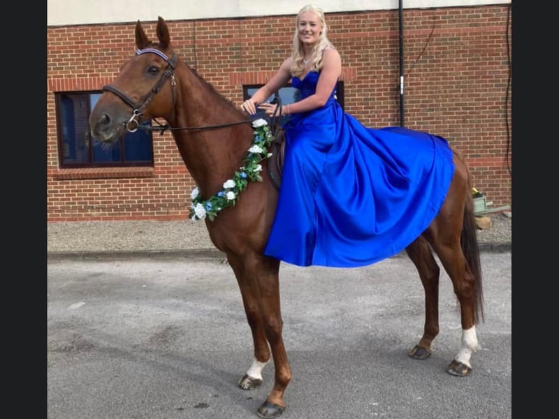Isabelle Artley looking lovely on her stunning horse Tartan Treasure.