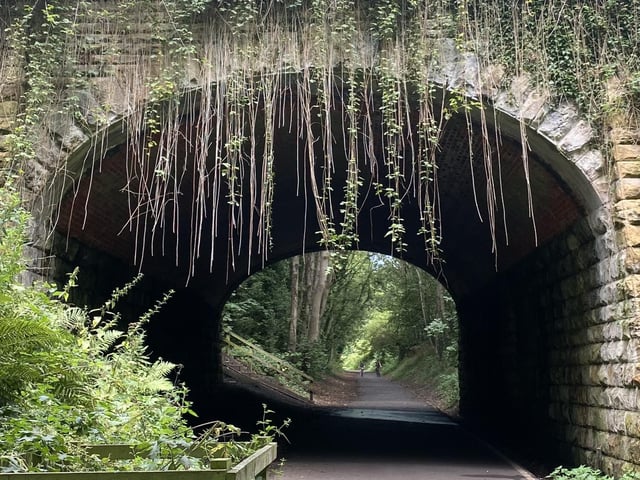 This image taken along the Cinder Track at Whitby was captured by Barbara Bussey.