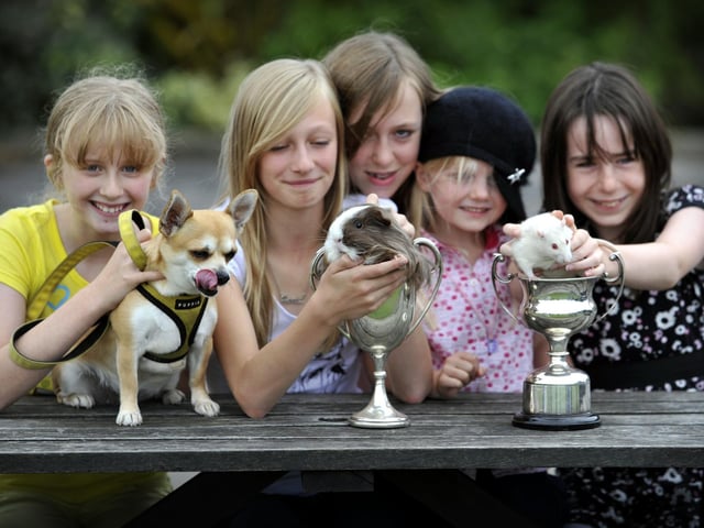 Furry friends, little and large, enter the forthcoming Scarborough Show, organised by Scarborough College.