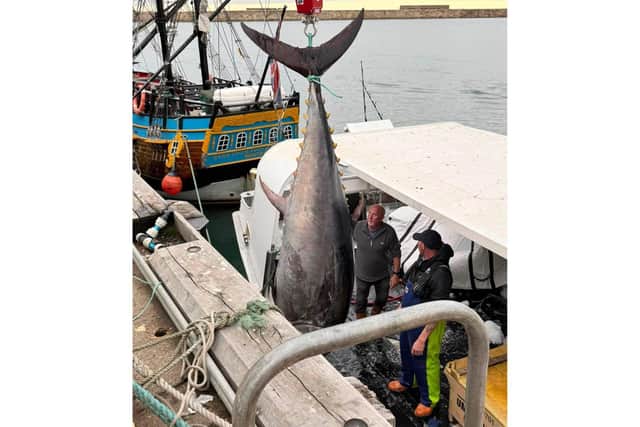 Ada helped to catch the 9.3-foot (112 inches) fish off the coast of Whitby, as part of a five-strong crew led by skipper Ben Shutt, 35, aboard the 12-metre inshore fishing vessel, Dominator A. Image: 54 North Maritime Training/SWNS