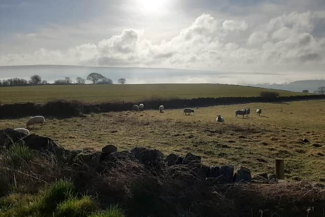 Anglo American has pulled its plans for a pit village in Egton.