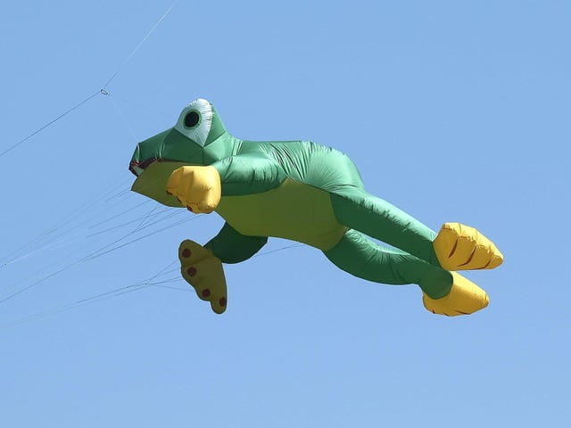 Flying frogs