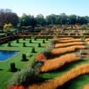 Autumn at Scampston