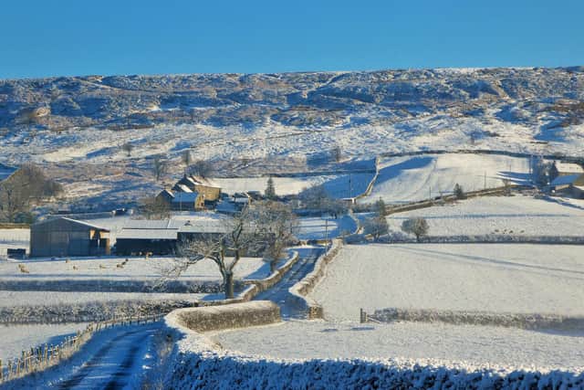A snowy scene at Danby Rigg.
