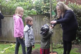East Ayton Primary School and Nursery received the royal oak tree from Hatton Garden Centre which is to be planted and celebrated by the community as they watch the Coronation CelebraTree grow year after year.