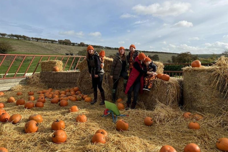 Humble Bee Farm's Pumpkin Patch and Spooky Trail is located in  Flixton, Scarborough and will be open on various dates between October 14 and November 4. Visitors can pick their own pumpkin and carve it in the farm's undercover barn. People can also take an exciting walk around their Halloween Spooky Trail - new for 2023. There will be two trails to complete, including one for younger visitors. These events are dog friendly but all dogs must be kept on leads.