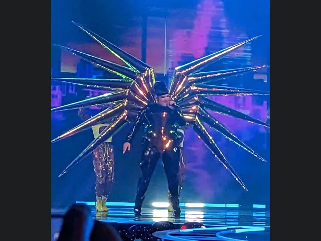 Israel's Netta who won the contest in 2018 with a song called Toy