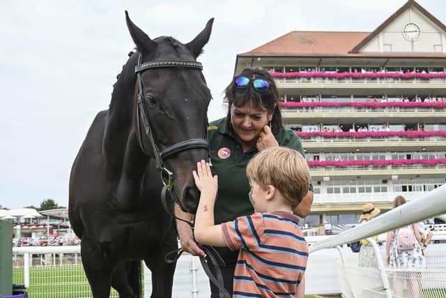 Young and old can come face to face with their favourites