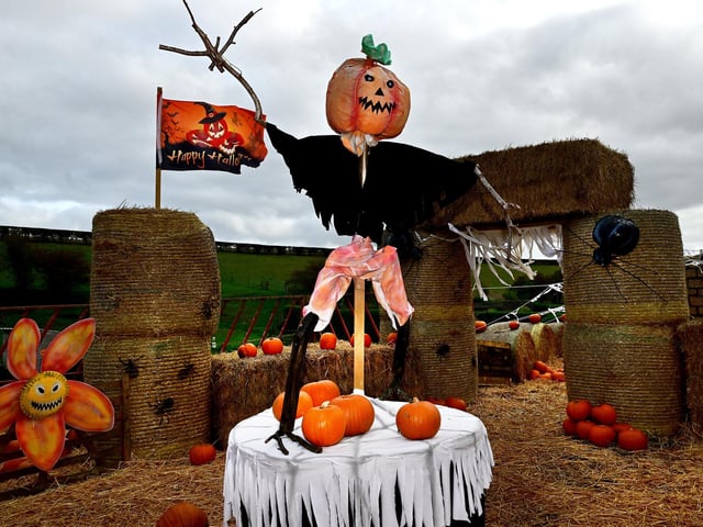 The Halloween décor at the farm is incredible.