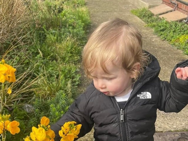 Enjoying the spring flowers!