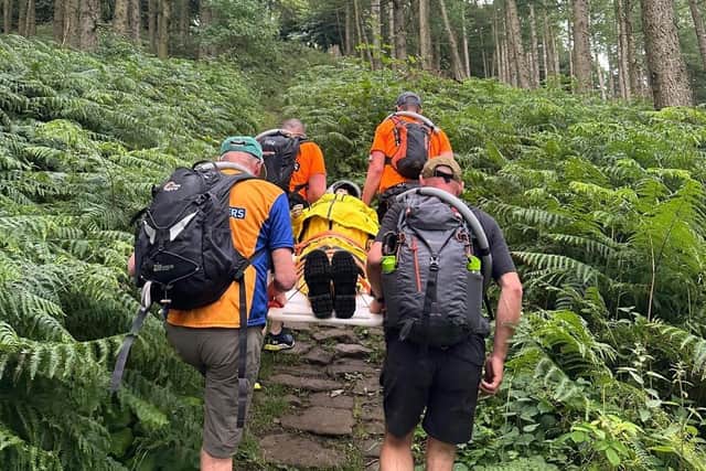Ascending into the forest. Image credit: RNLI/Paul Dixon