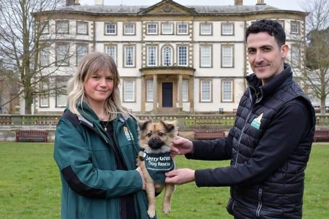 Sewerby Hall and Gardens are set to host a brad new Canine Carnival in partnership with Jerry Green Dog Rescue.