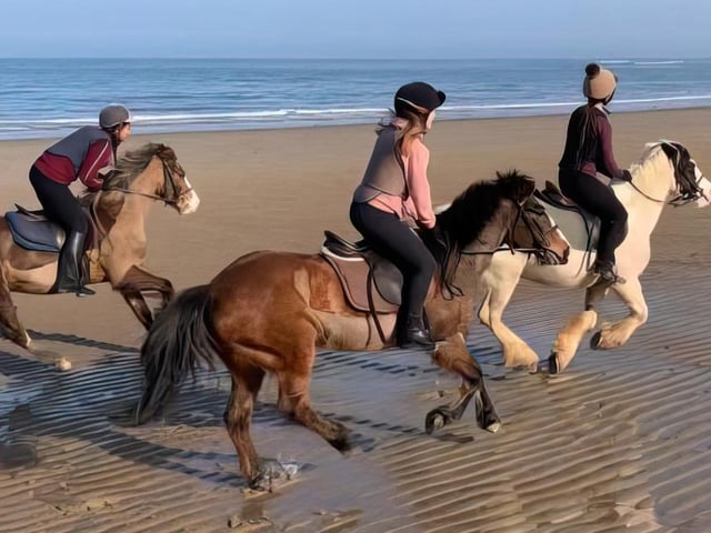 Fyling Hall students enjoy a horse ride on the beach.