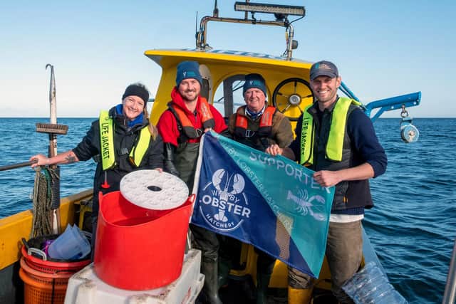 Release of 822 baby lobsters by Whitby Lobster Hatchery off Redcar.
picture: Tessa Bunney
