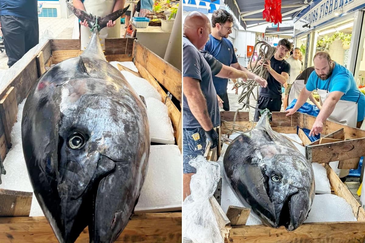 300kg tuna caught off Whitby sold to sushi restaurant for whopping £5,000