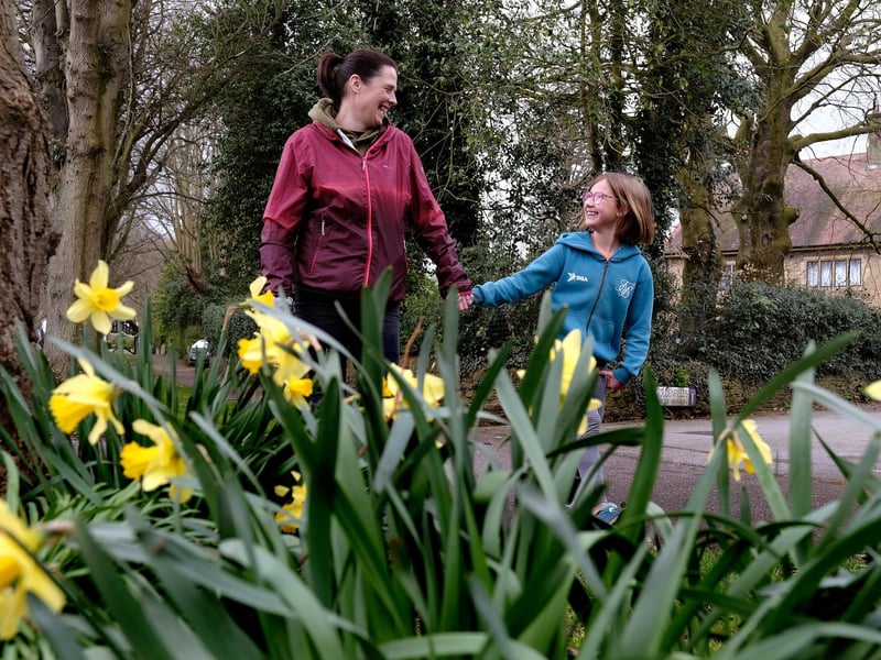 Walking past the sunny daffodils!