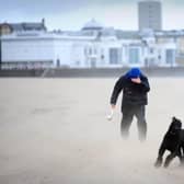 A yellow wind warning has been issued by the Met Office for parts of the Yorkshire coast.